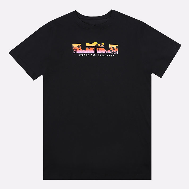 мужская черная футболка Nike Dri-FIT LeBron Logo Tee DB6178-010 - цена, описание, фото 1